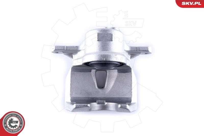 Brake Caliper 55SKV511