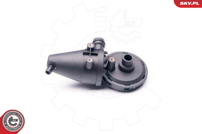 Repair Kit, crankcase ventilation 31SKV039