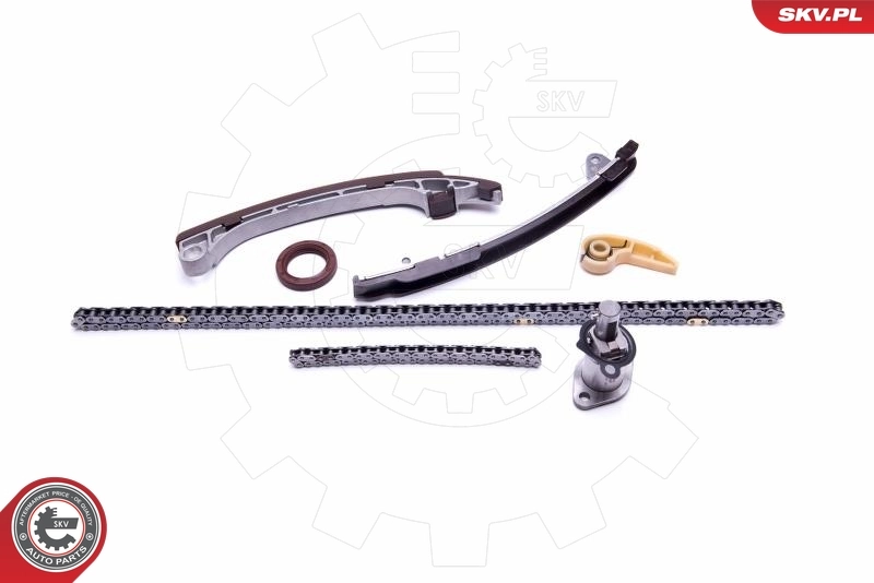 Timing Chain Kit 21SKV198