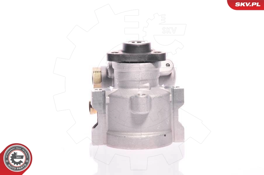 Hydraulic Pump, steering 10SKV130