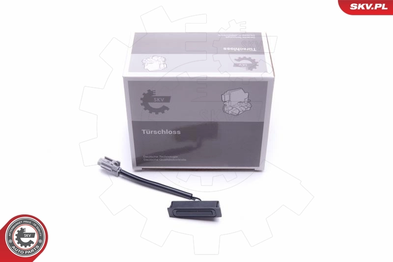 Exterior Door Handle 16SKV256