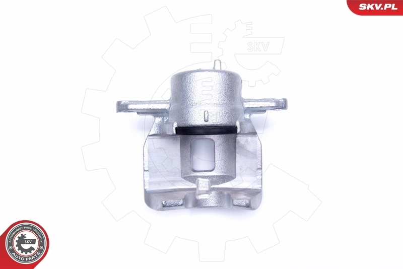 Brake Caliper 44SKV151