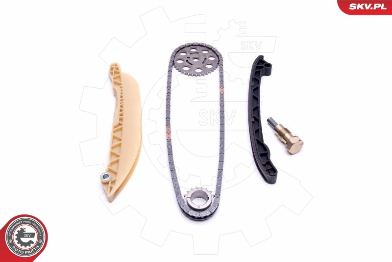 Timing Chain Kit 21SKV213