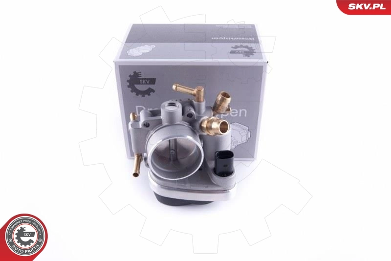 Throttle Body 12SKV095