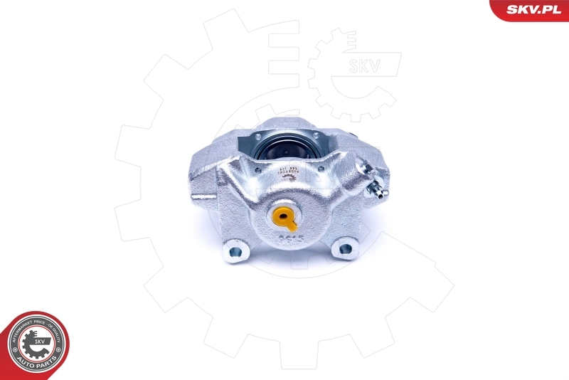 Brake Caliper 45SKV282