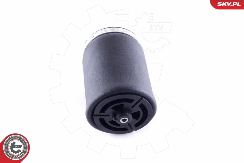 Air Spring, suspension 58SKV002