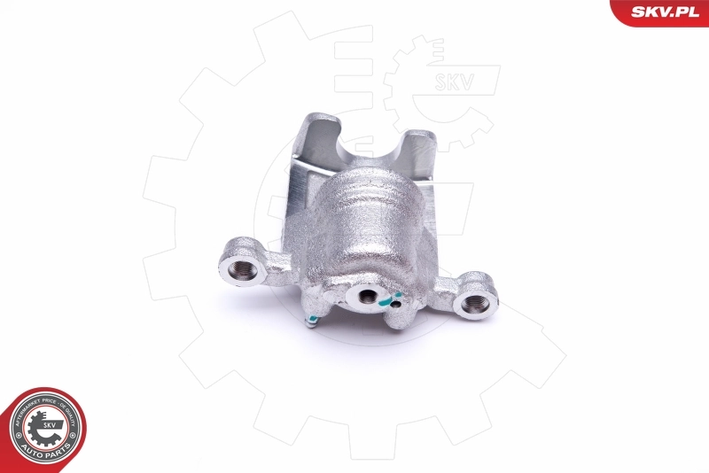 Brake Caliper 45SKV793