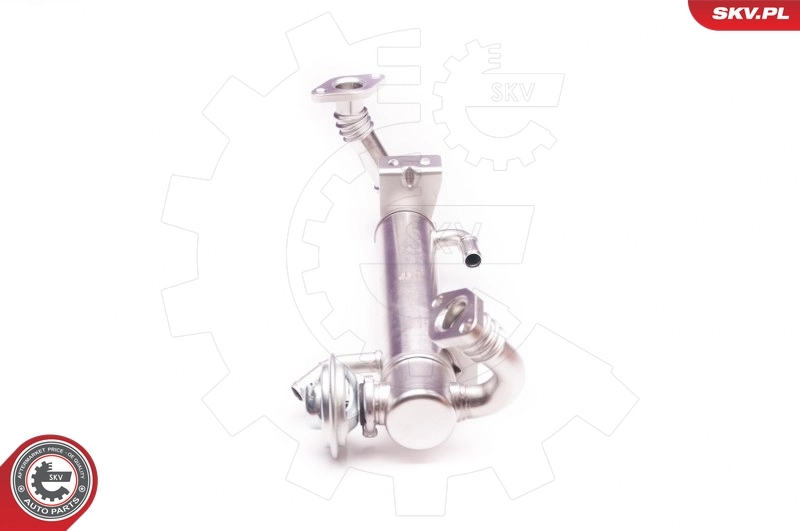 EGR Valve 14SKV122