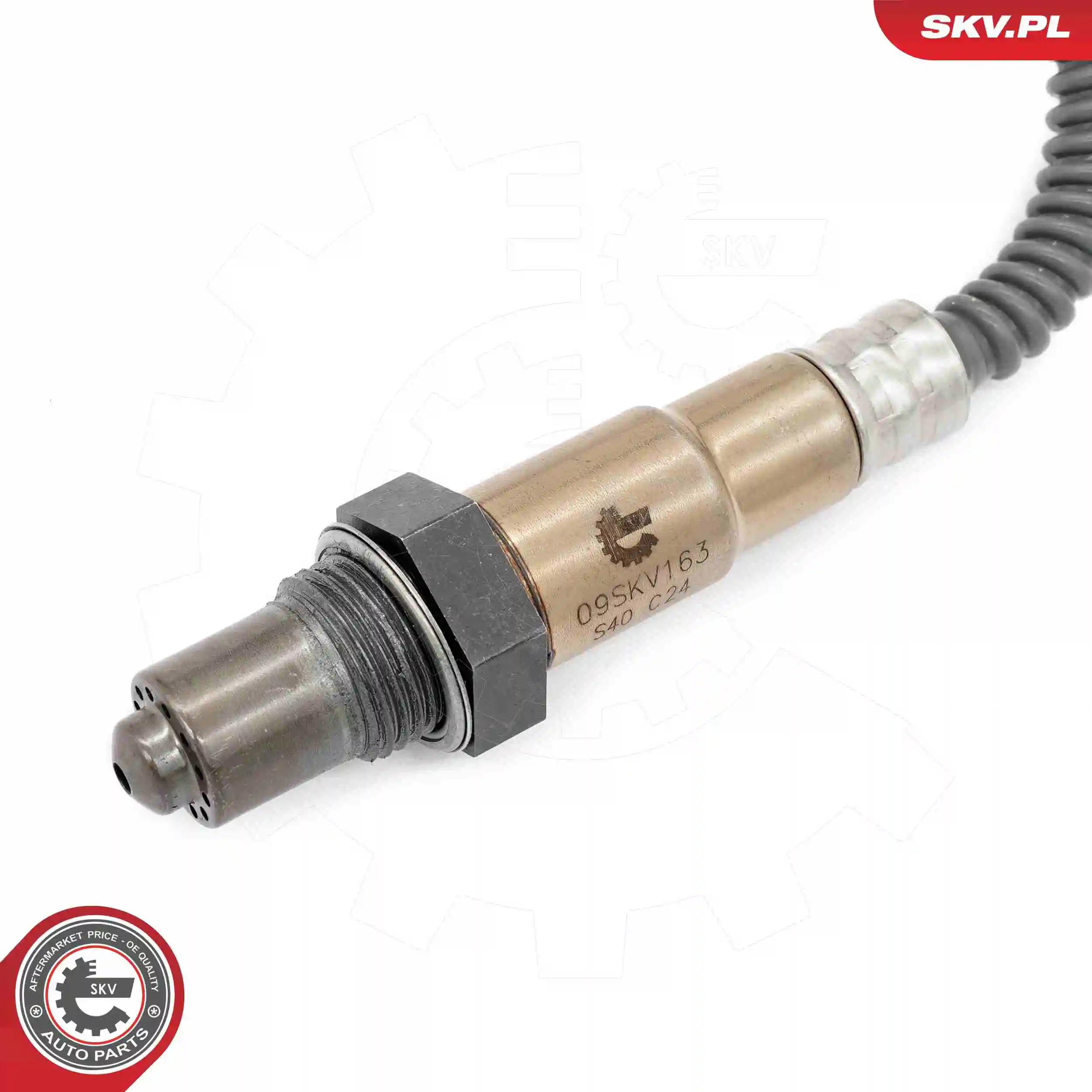 Oxygen Sensor 09SKV163