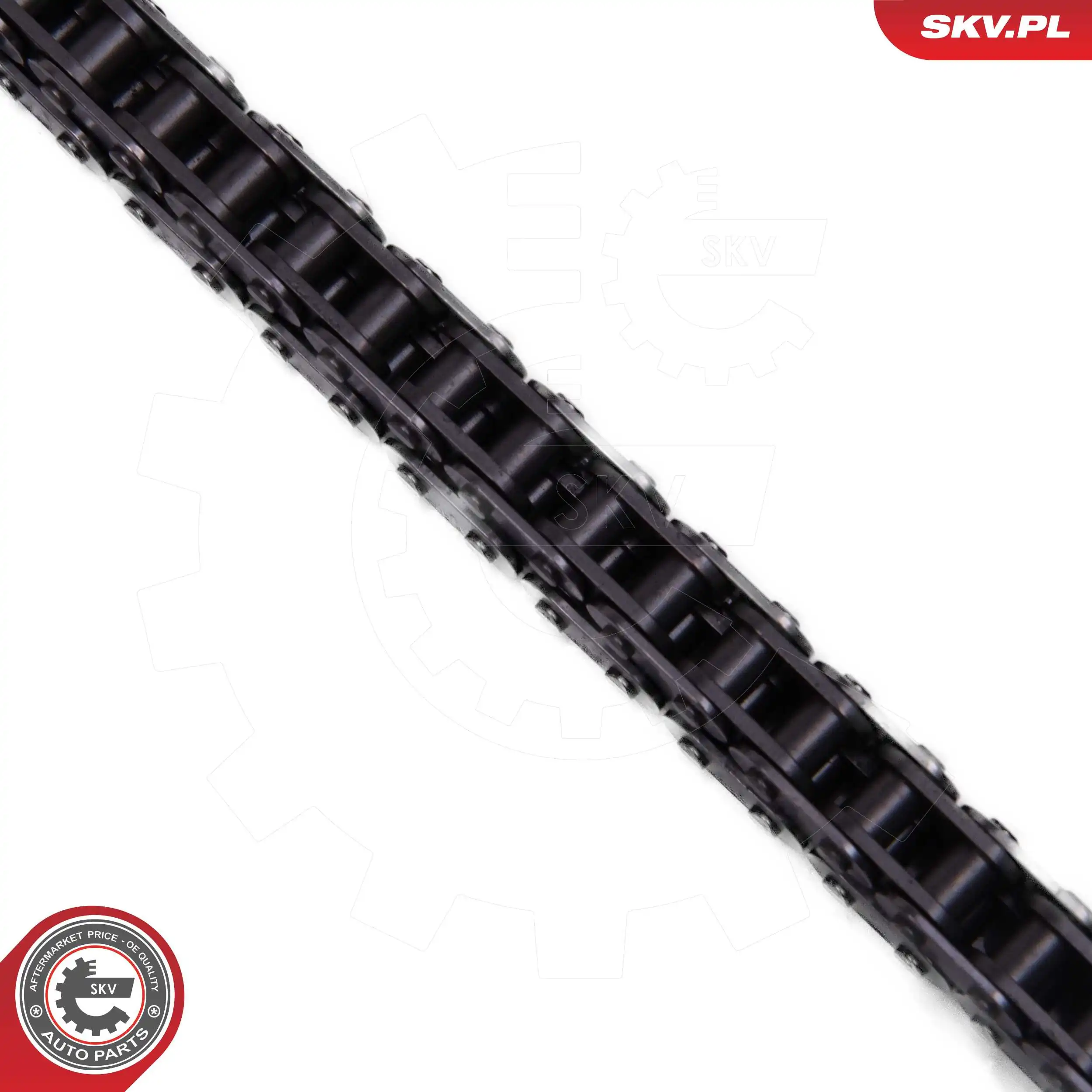 Timing Chain Kit 21SKV256