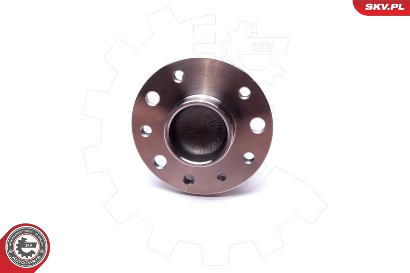 Wheel Bearing Kit 29SKV549