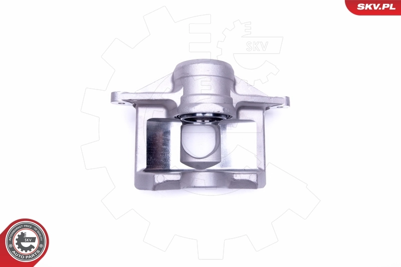 ESEN SKV 50SKV391 Brake Caliper