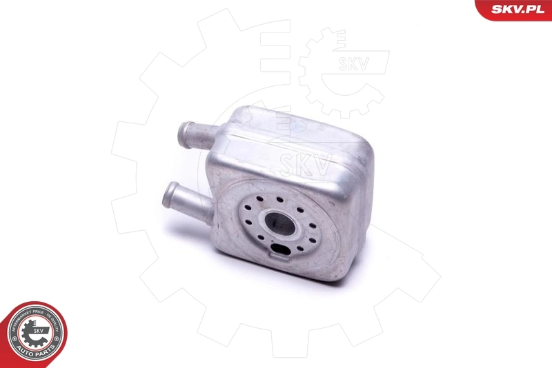 Oil Cooler, engine oil 31SKV202