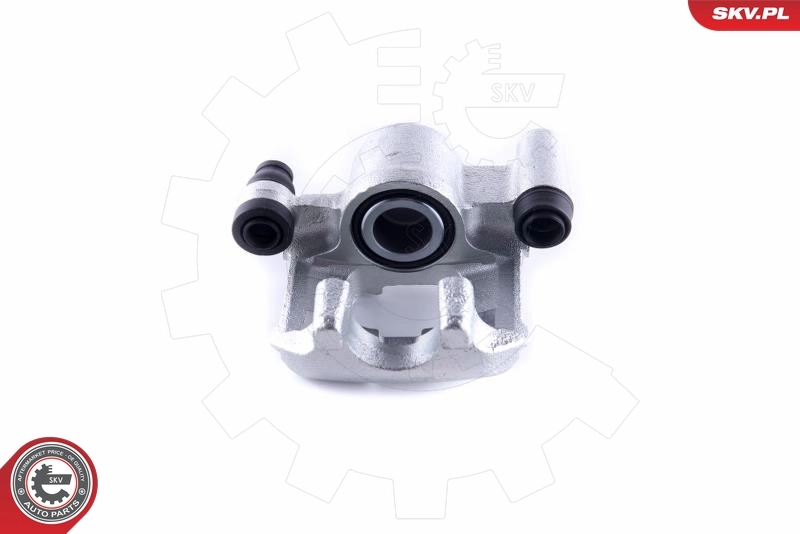 Brake Caliper 55SKV314
