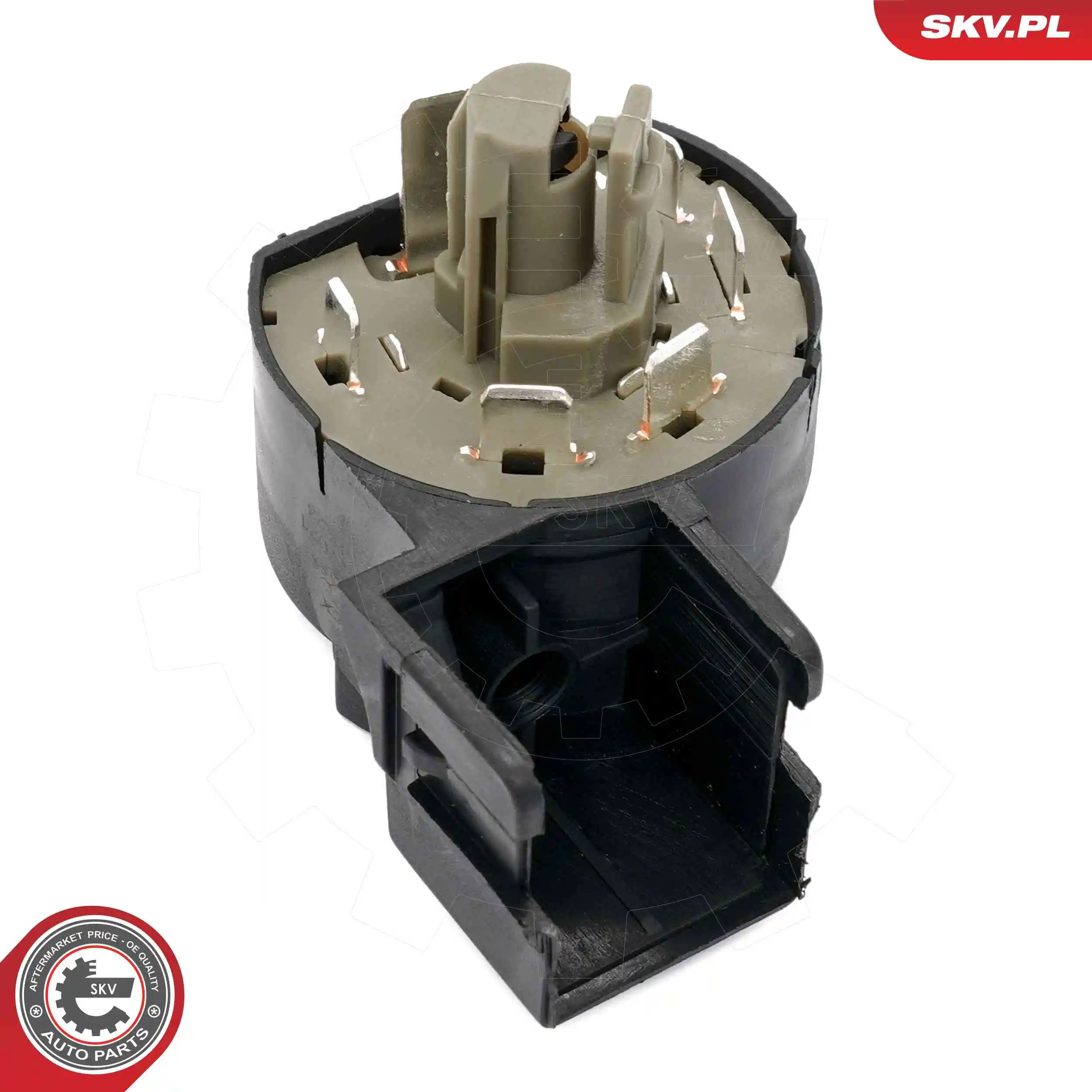 Ignition Switch 65SKV021