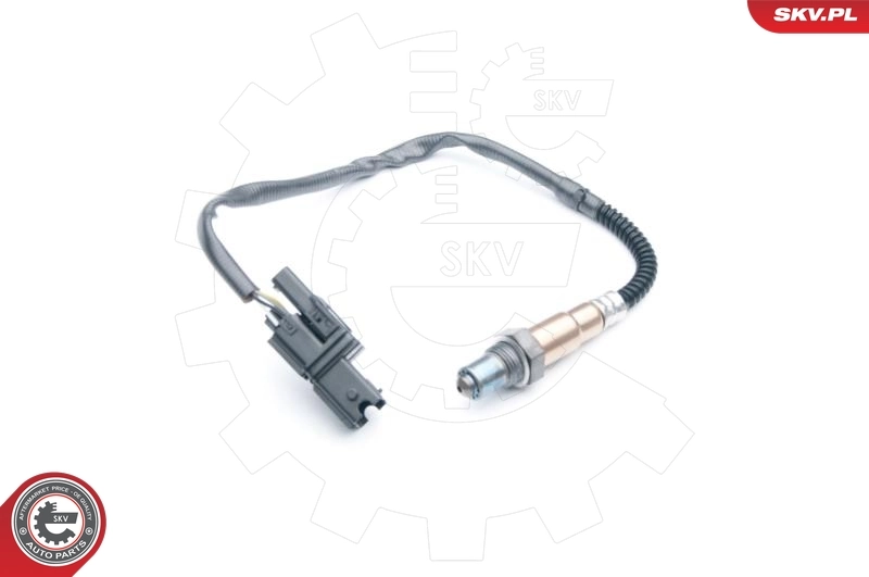 Oxygen Sensor 09SKV869