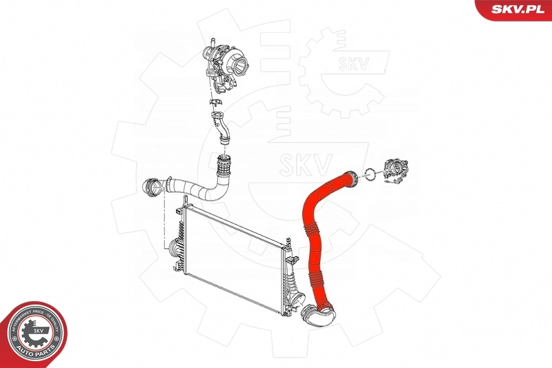 Charge Air Hose 43SKV358