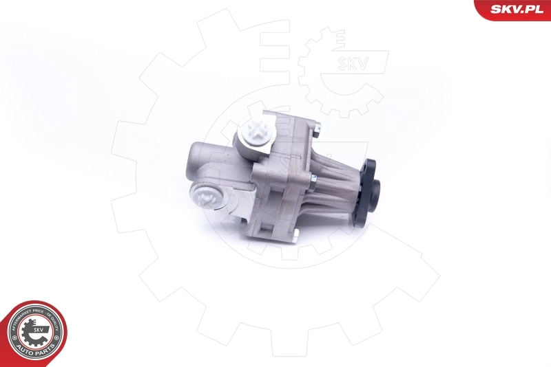 Hydraulic Pump, steering 10SKV245