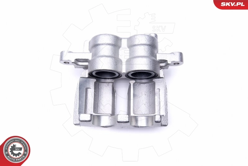 Brake Caliper 46SKV773