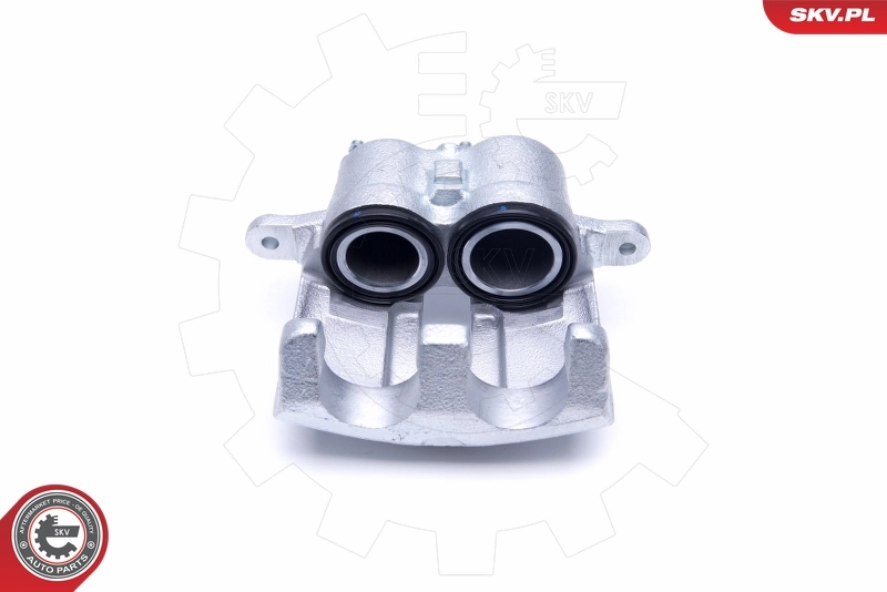 Brake Caliper 50SKV251