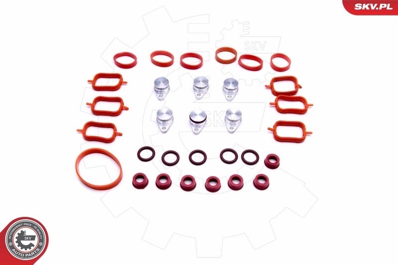 ESEN SKV 49SKV565 Repair Kit, intake manifold module