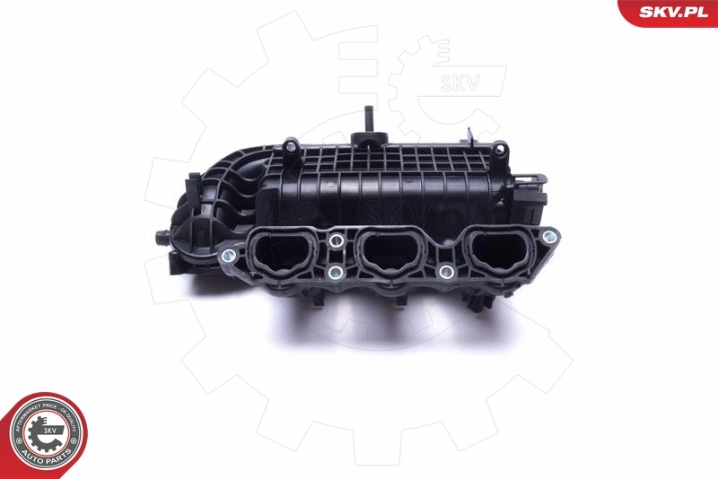 Intake Manifold Module 49SKV061