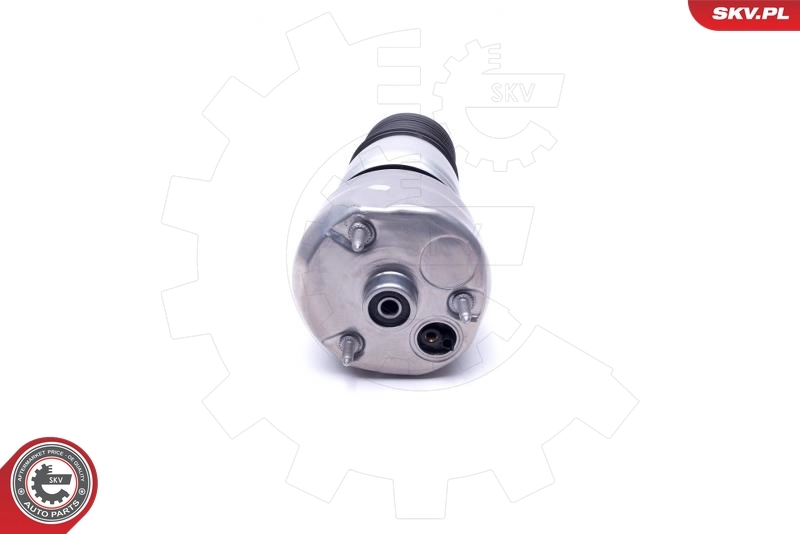 Air Spring, suspension 58SKV061