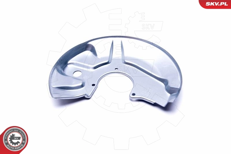 ESEN SKV 57SKV169 Splash Guard, brake disc