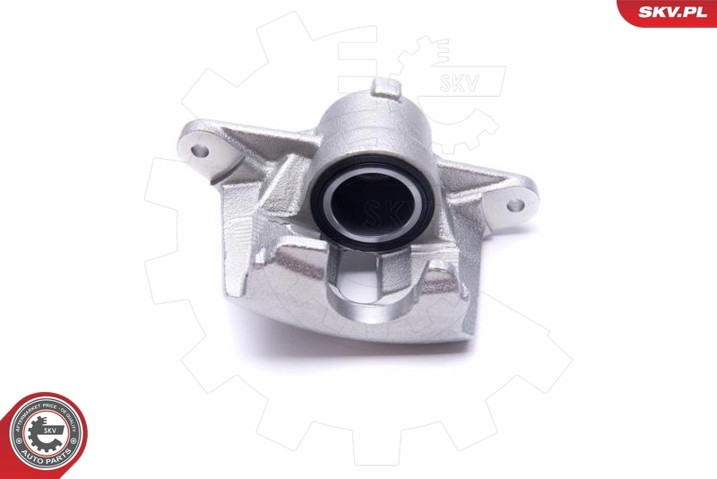 Brake Caliper 56SKV001