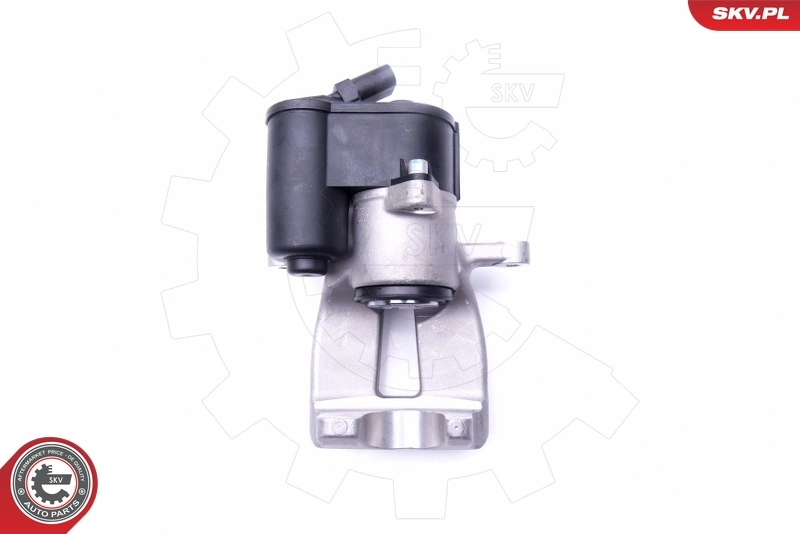 Brake Caliper 46SKV893