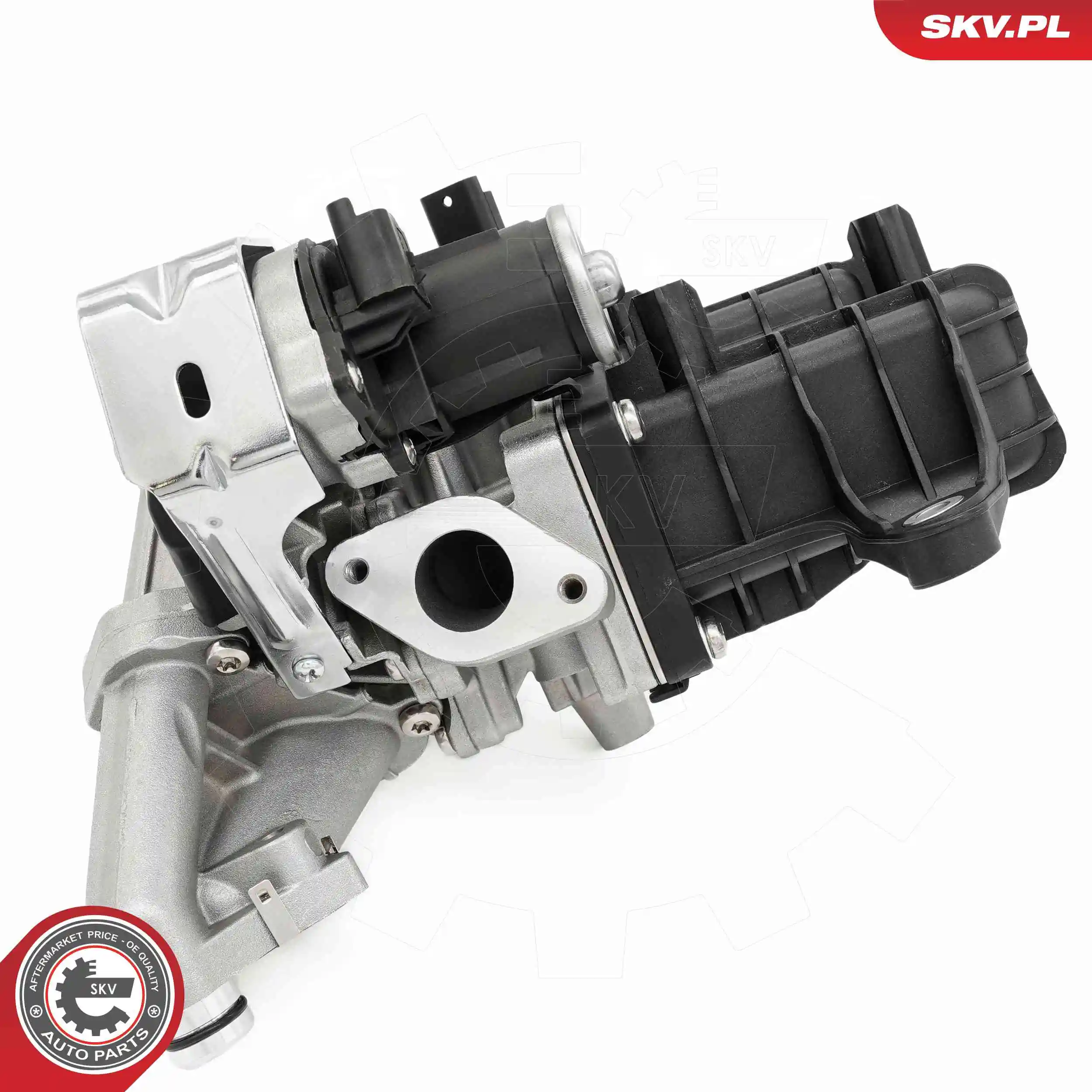 ESEN SKV 14SKV289 EGR Valve