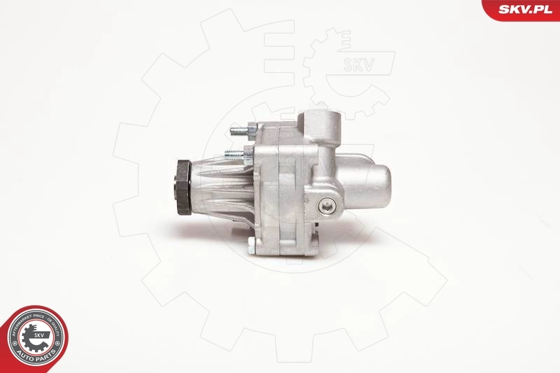 Hydraulic Pump, steering 10SKV087