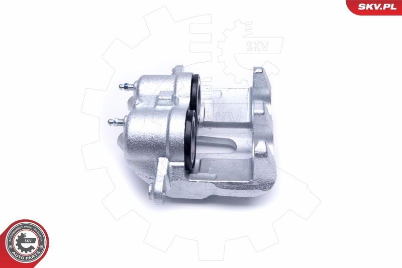 Brake Caliper 50SKV252