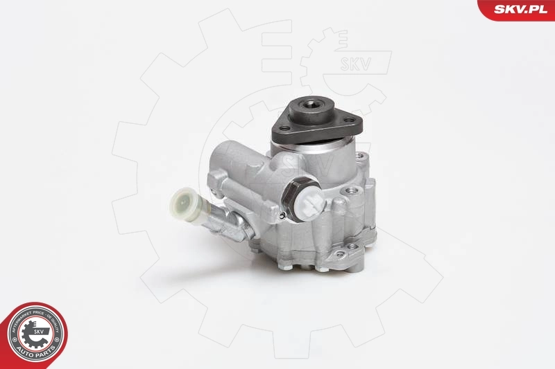 Hydraulic Pump, steering 10SKV129