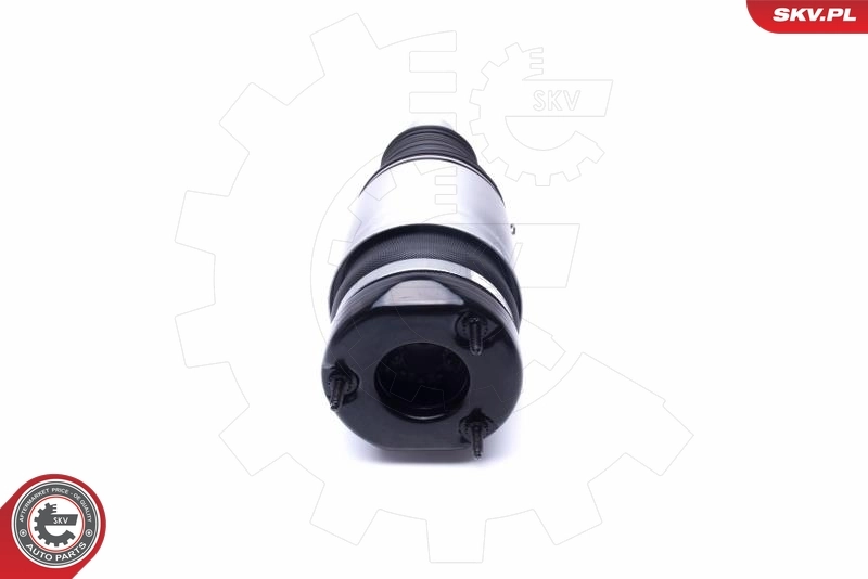 Air Suspension Strut 58SKV060