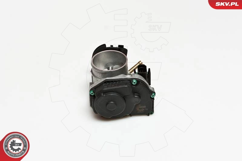 Throttle Body 12SKV034
