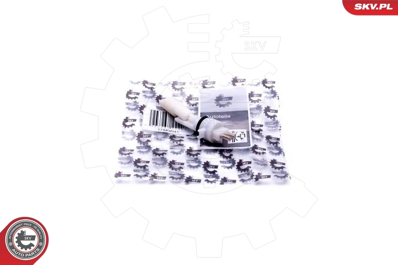 Sensor, coolant level 17SKV641