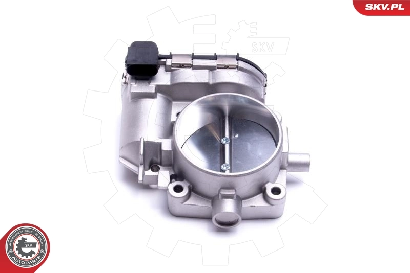 Throttle Body 12SKV118