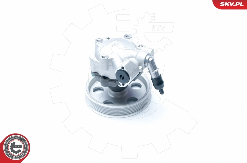 Hydraulic Pump, steering 10SKV185