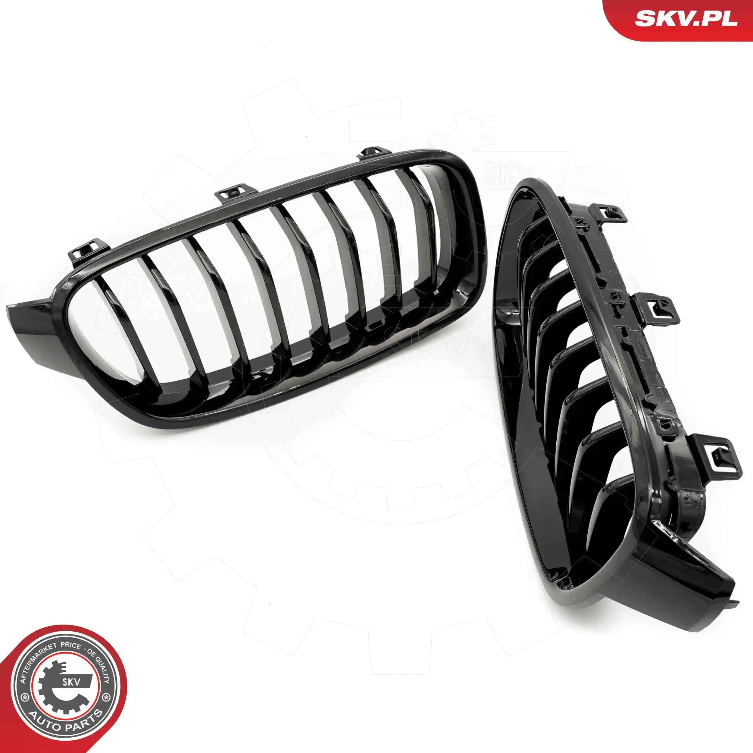 Radiator Grille 66SKV120