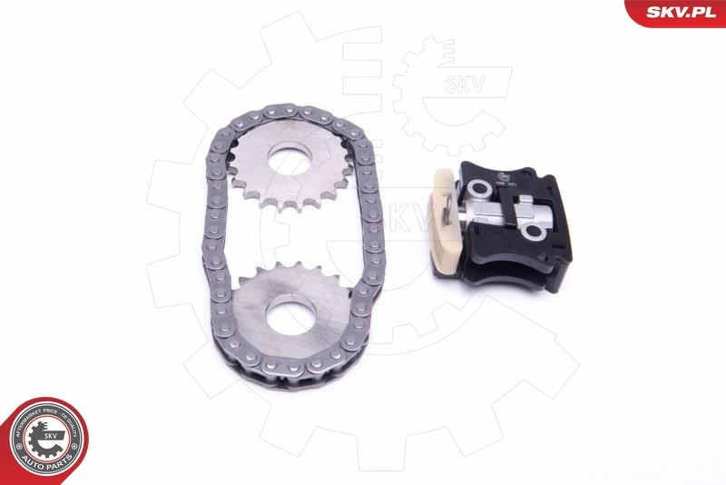 Timing Chain Kit 21SKV145