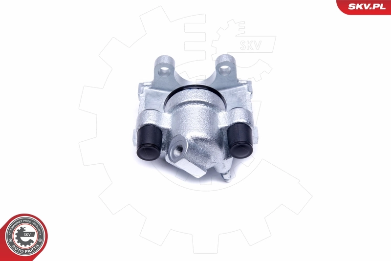Brake Caliper 50SKV234