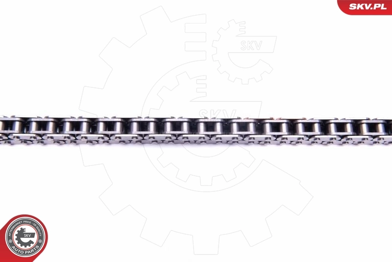 Timing Chain Kit 21SKV213