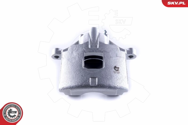 Brake Caliper 55SKV461