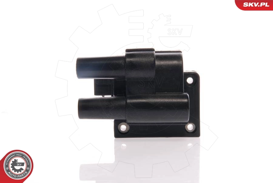 Ignition Coil 03SKV038