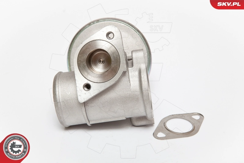 EGR Valve 14SKV061