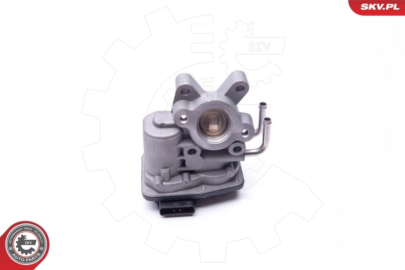EGR Valve 14SKV102