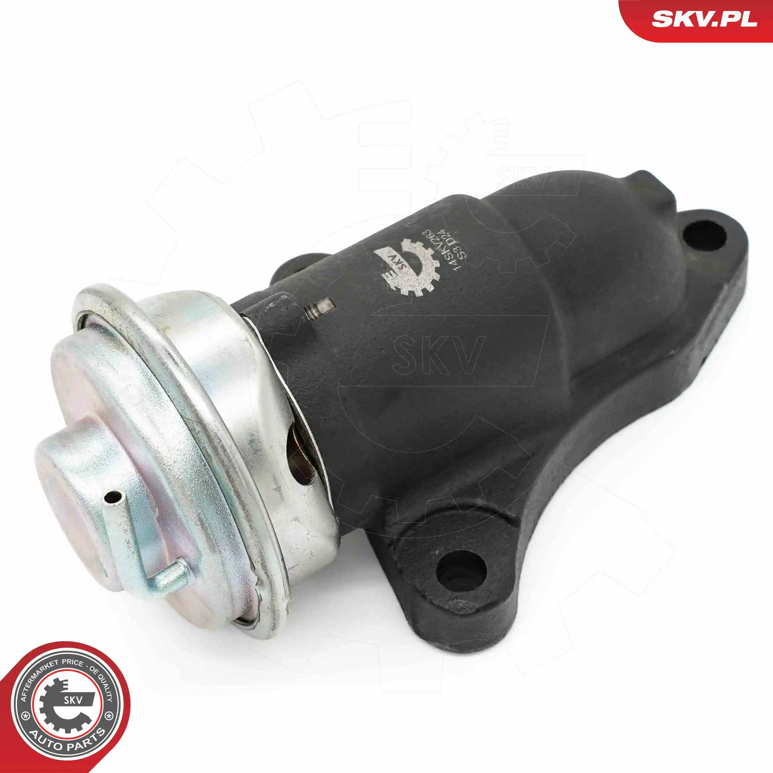 EGR Valve 14SKV263