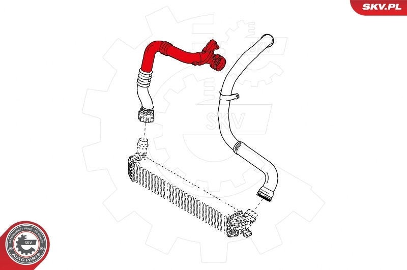 Charge Air Hose 24SKV881