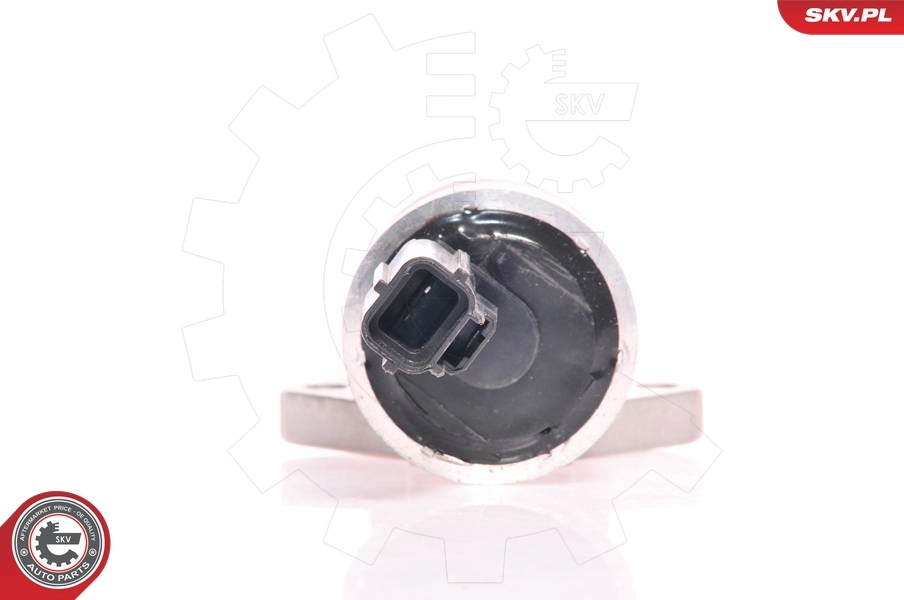 Idle Control Valve, air supply 08SKV232